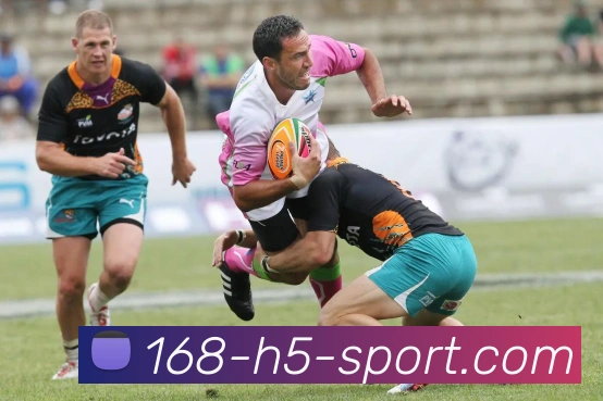 App Interface Preview