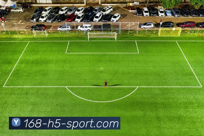 168体育APP 封面图